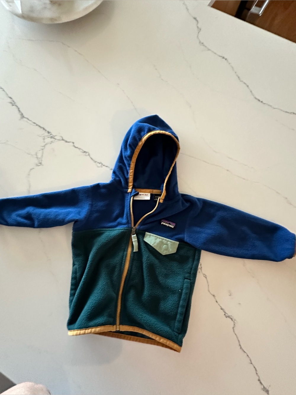 Patagonia Kids Blue & Green Micro D Fleece 6-12mo
